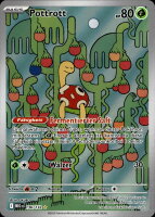 Pottrott 136/132 Illustration Rare